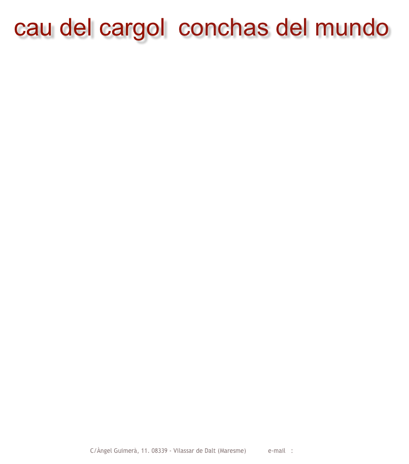 cau del cargol    conchas del mundo

























































                               
 

C/Àngel Guimerà, 11. 08339 - Vilassar de Dalt (Maresme)            e-mail   :     caudelcargol@caudelcargol.com